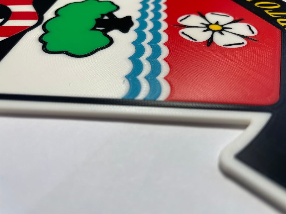 Southampton badge 3D wall art
