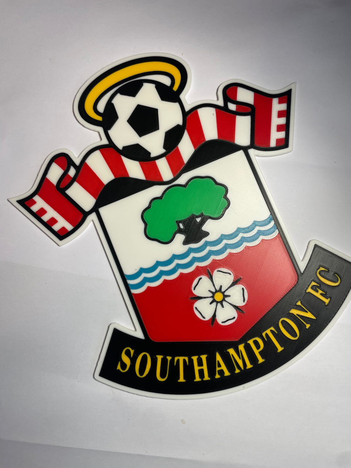 Southampton badge 3D wall art