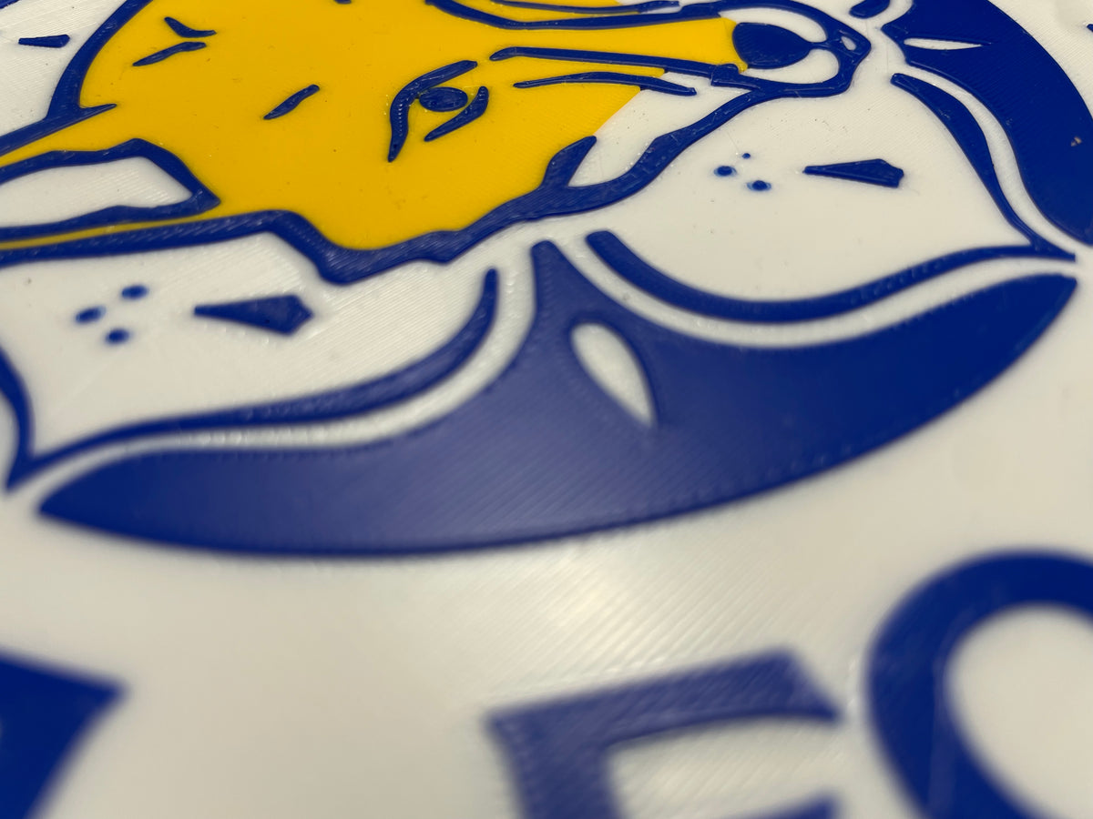 Leicester badge 3D wall art
