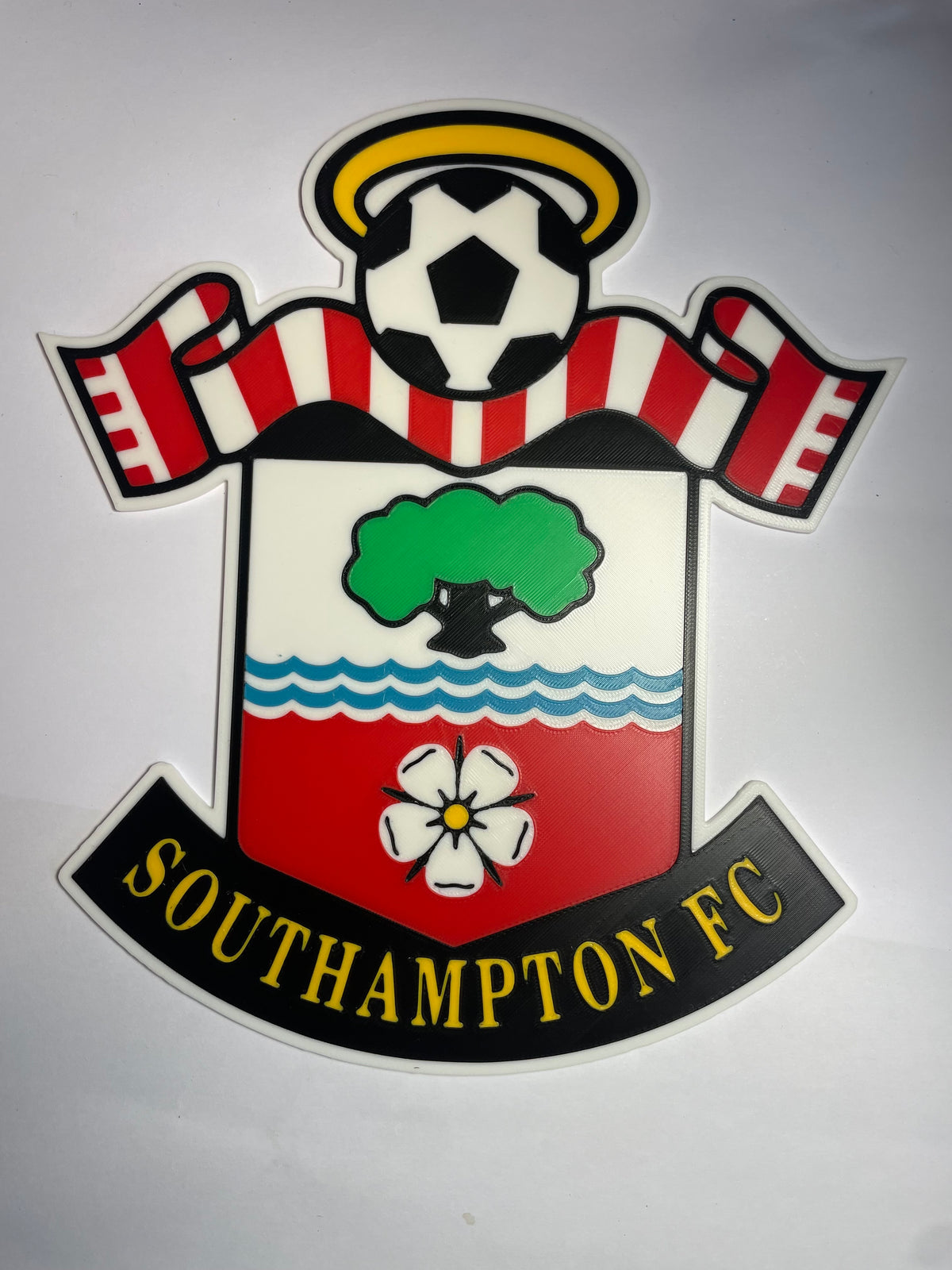 Southampton badge 3D wall art