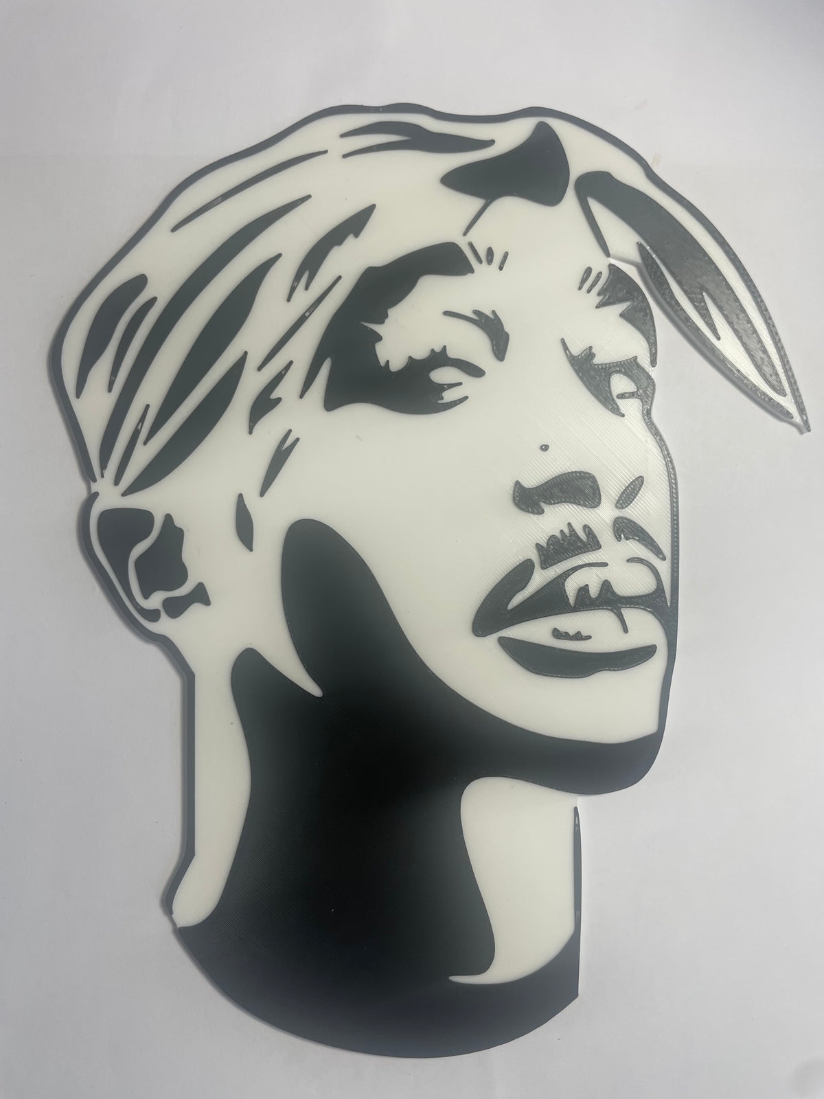 2pac Inspired Hip Hop Legends 3D Wall Art