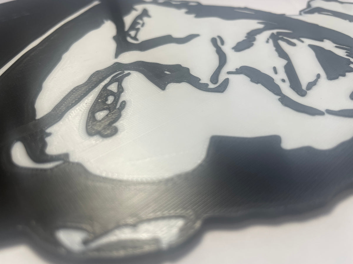 50 cent Inspired Hip Hop Legends 3D Wall Art